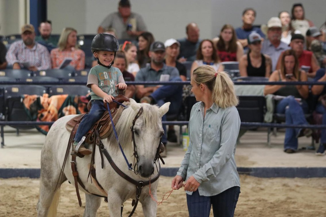Image for Ocala Horse Sale January 4th - Ocala, Florida