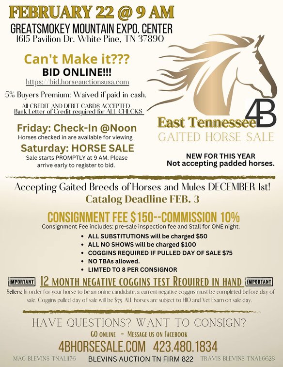Image for East Tennessee 4B Gaited Horse Sale  White Pine, Tennessee - February 22nd