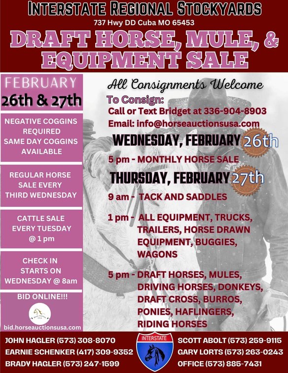 Image for DATE CHANGE Interstate Regional Stockyards TWO DAY FEBRUARY SPECIAL - DAY 1 - WEDNESDAY FEBRUARY 26TH