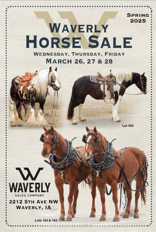 Image for Waverly Horse Sale - Horses Day One THURSDAY, MARCH 27TH - Waverly Iowa