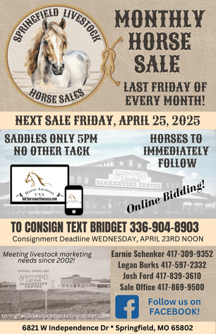 Image for Springfield Livestock Horse Sale FRIDAY APRIL 25TH - Springfield, MO