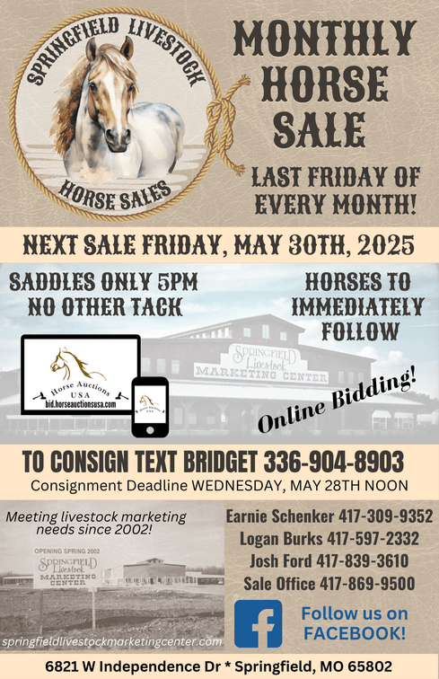 Image for Springfield Livestock Horse Sale FRIDAY MAY 30TH - Springfield, MO