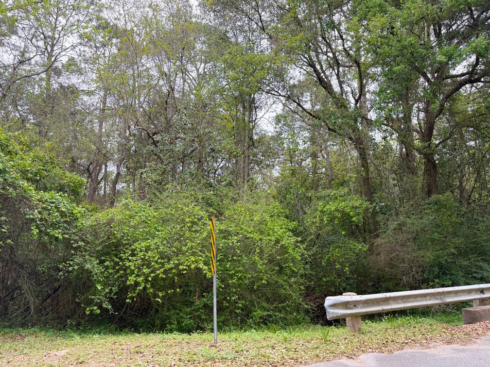 Image for Absolute Auction | HC/LI Zoned Lots | Gulf Beach Hwy Corridor