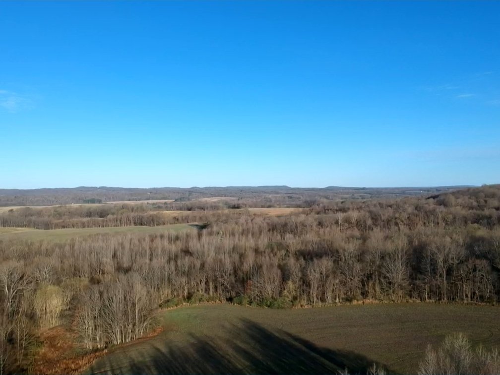 Image for The Wright Family Land Auction