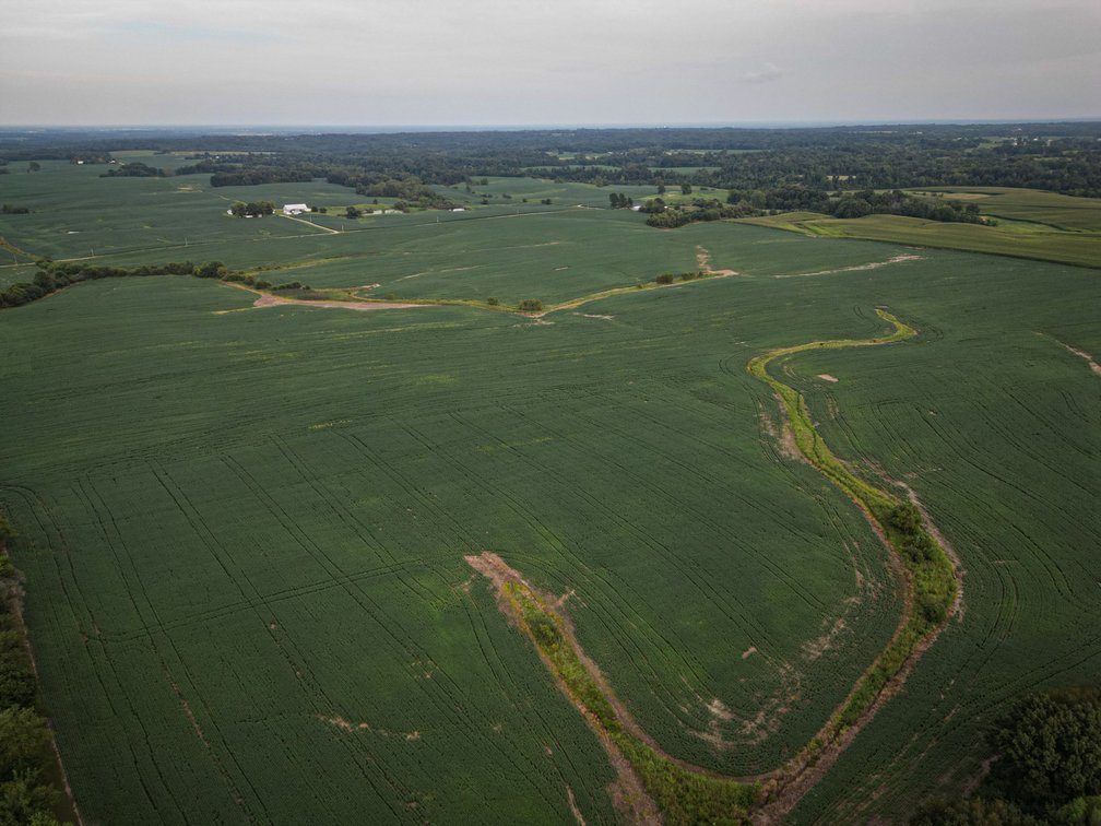 Image for Live & Online Land Auction Ava, IL
