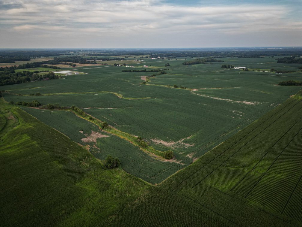 Image for Live & Online Land Auction Ava, IL
