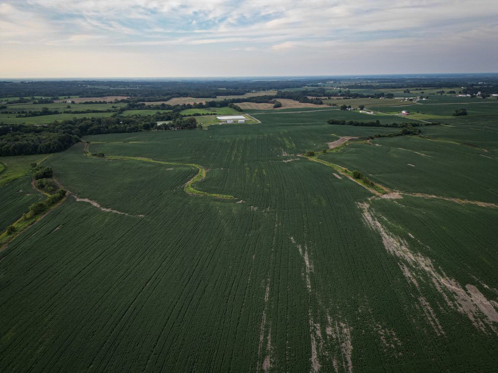 Image for Live & Online Land Auction Ava, IL