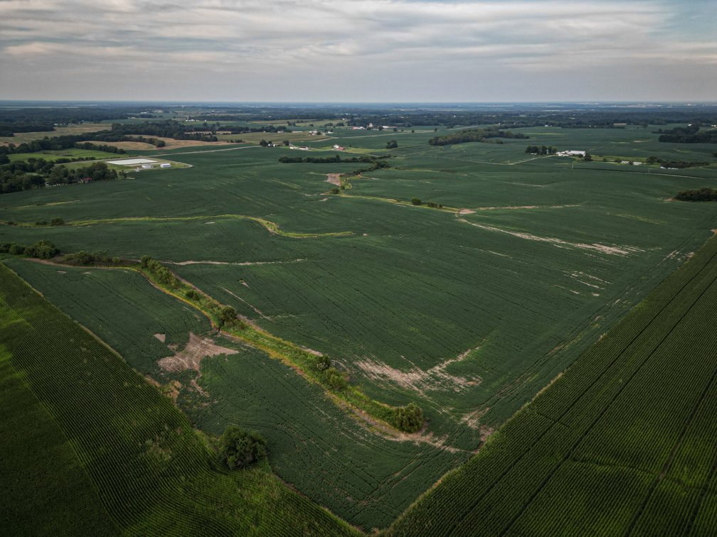 Image for Live & Online Land Auction Ava, IL