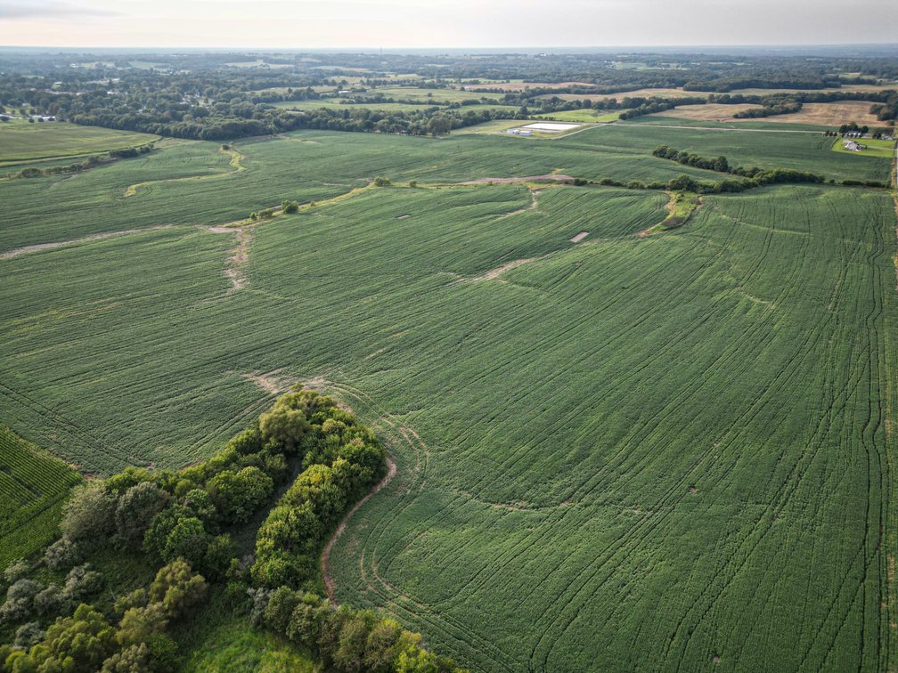 Image for Live & Online Land Auction Ava, IL