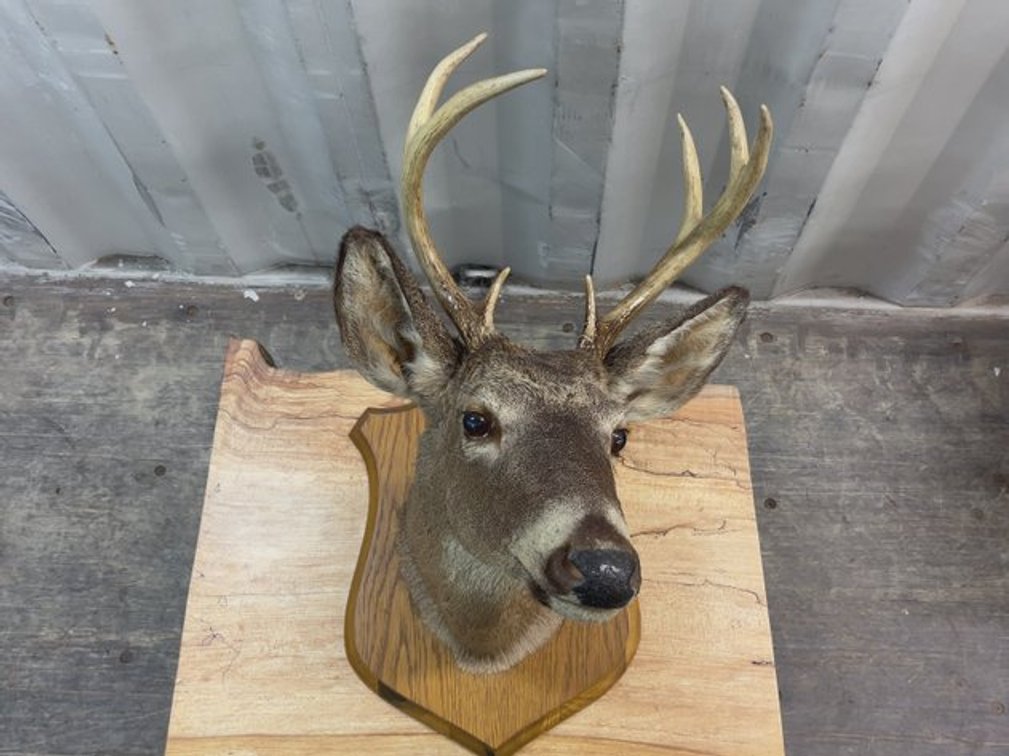 Image for G & F Antiques Auction