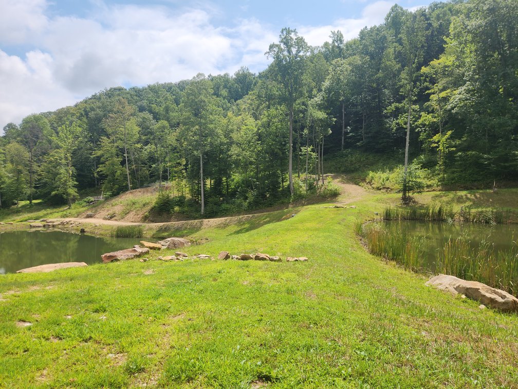 Image for Stanton, KY: Development & Investment Opportunities Near Red River Gorge in Birch Hollow (Powell County)