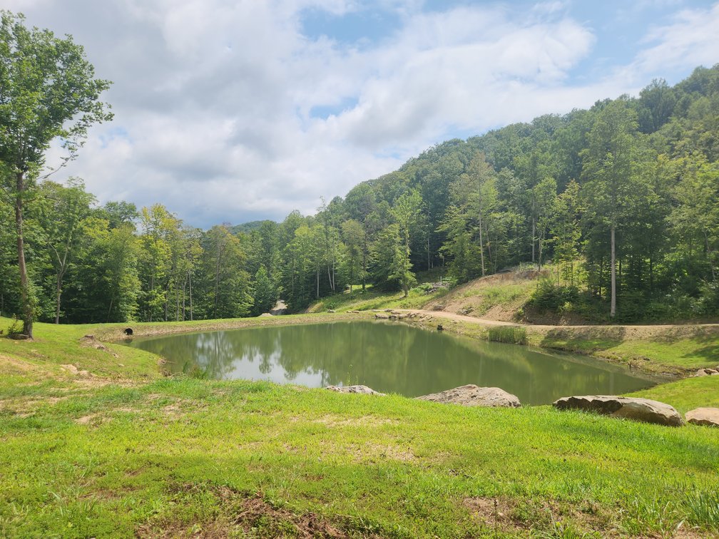 Image for Stanton, KY: Development & Investment Opportunities Near Red River Gorge in Birch Hollow (Powell County)