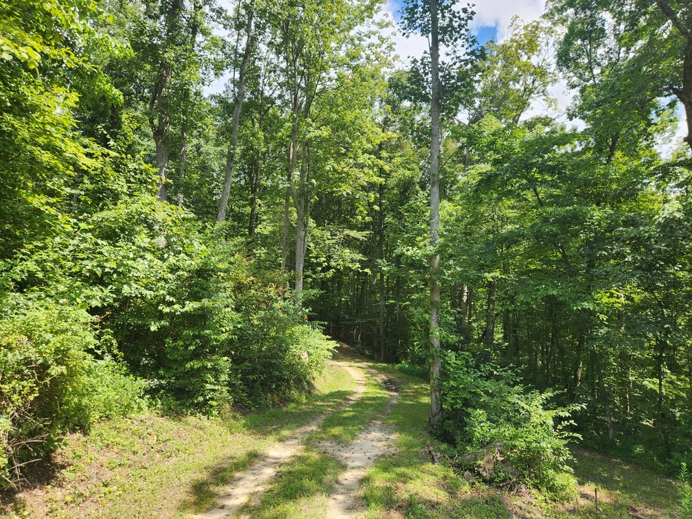 Image for Stanton, KY: Development & Investment Opportunities Near Red River Gorge in Birch Hollow (Powell County)