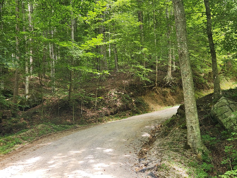 Image for Stanton, KY: Development & Investment Opportunities Near Red River Gorge in Birch Hollow (Powell County)