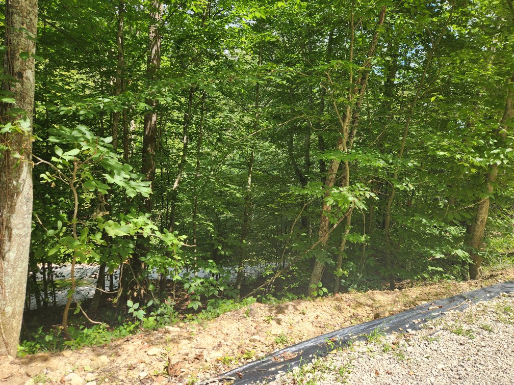 Image for Stanton, KY: Development & Investment Opportunities Near Red River Gorge in Birch Hollow (Powell County)
