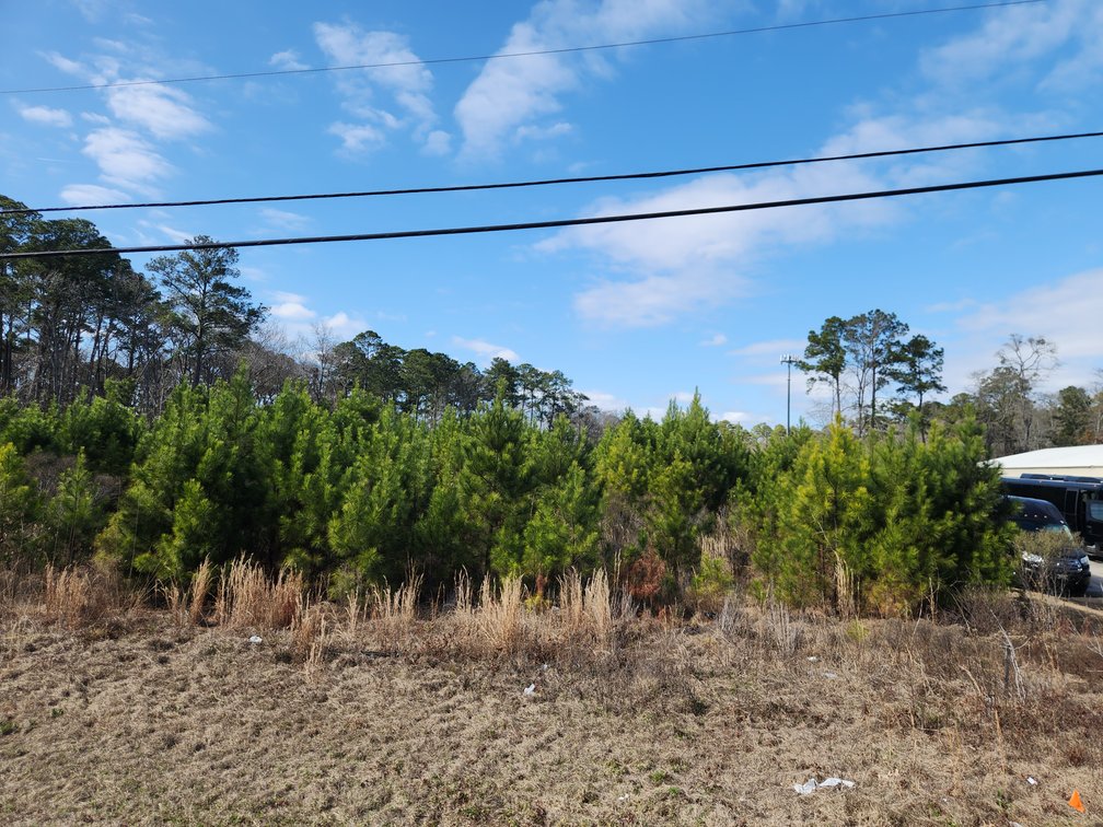 Image for Savannah, GA: Prime 8.65± Acres Commercial Opportunity on High Growth Ogeechee Corridor (Chatham County)