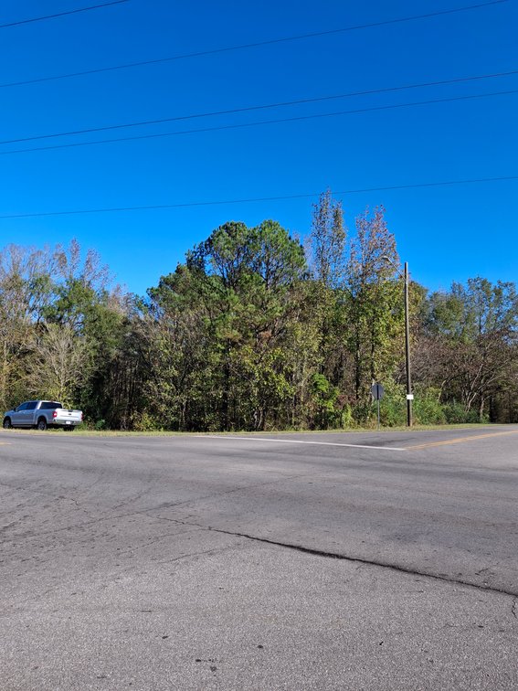 Image for Talladega, AL: 2 Parcels Totaling 63± Acres with 12 Surveyed Lots (Talladega County)