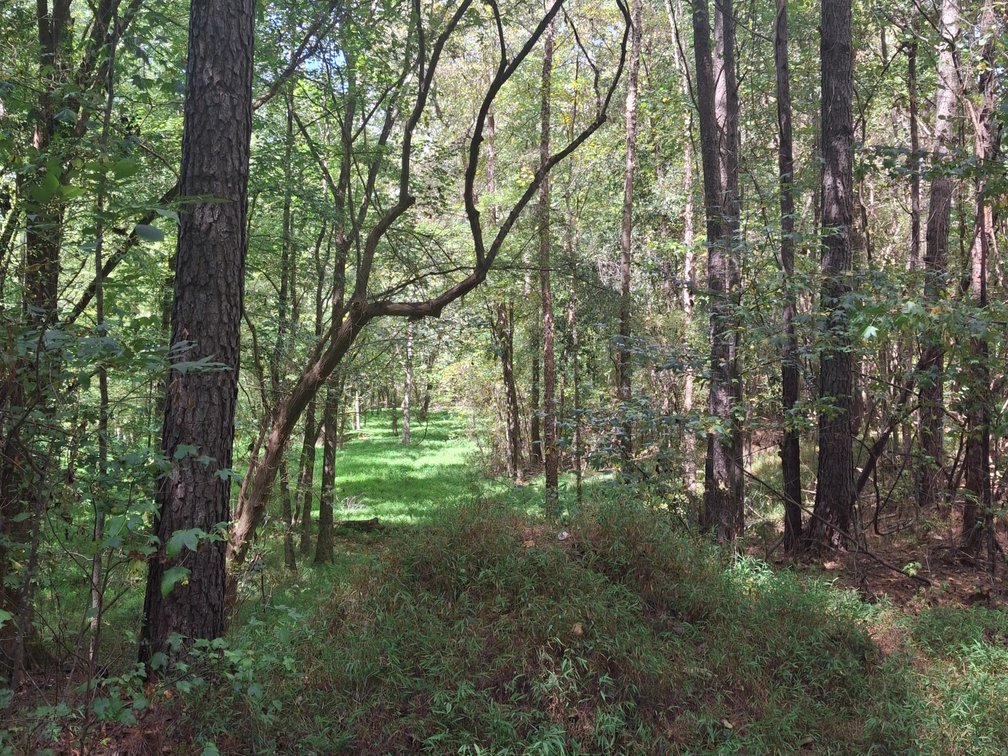 Image for Ellenwood, GA: 14± Acre Development Tract at 2680 River Rd. (DeKalb County)