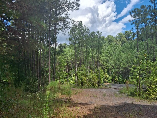 Image for Ellenwood, GA: 14± Acre Development Tract at 2680 River Rd. (DeKalb County)