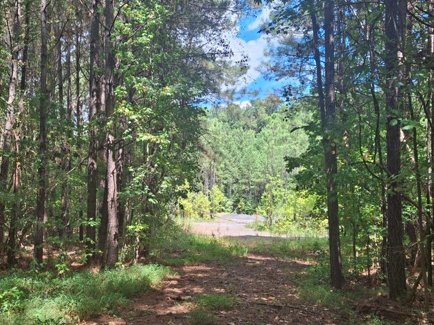 Image for Ellenwood, GA: 14± Acre Development Tract at 2680 River Rd. (DeKalb County)