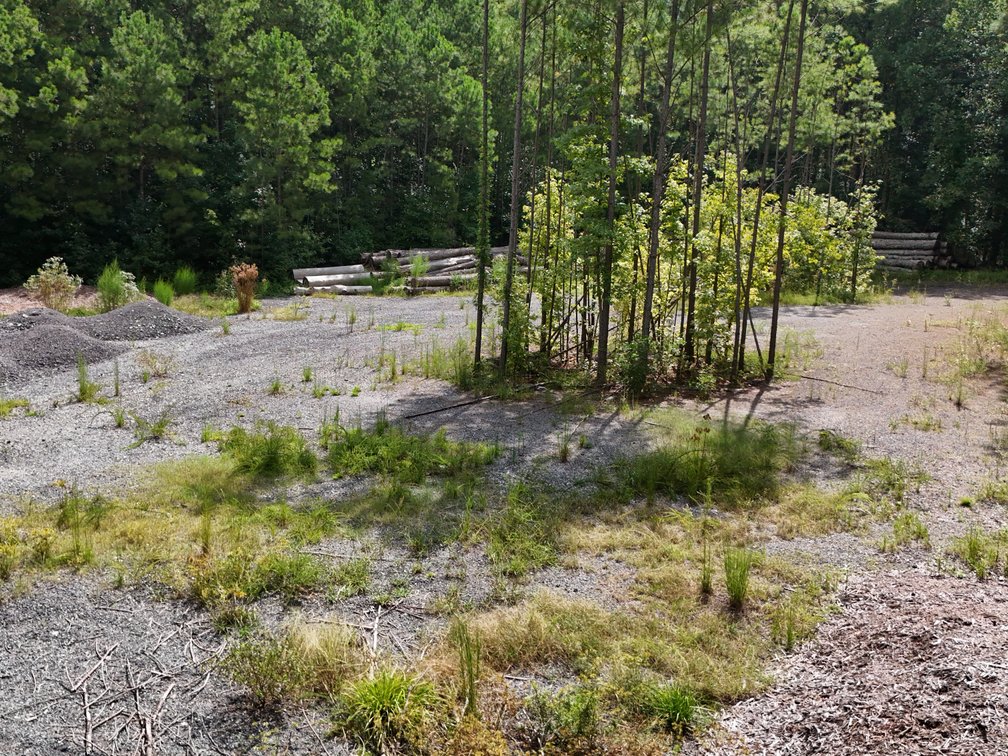 Image for Ellenwood, GA: 14± Acre Development Tract at 2680 River Rd. (DeKalb County)