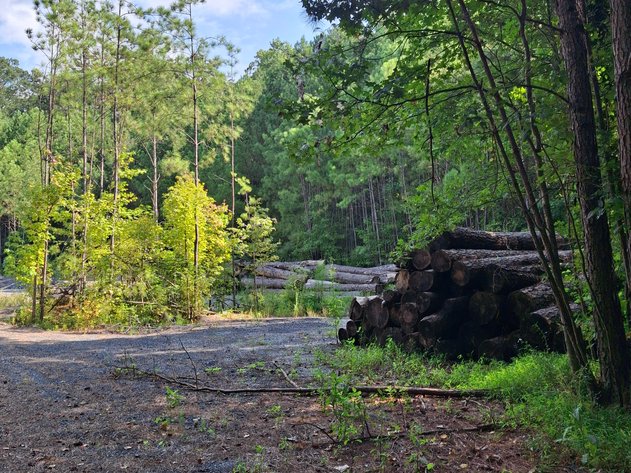 Image for Ellenwood, GA: 14± Acre Development Tract at 2680 River Rd. (DeKalb County)