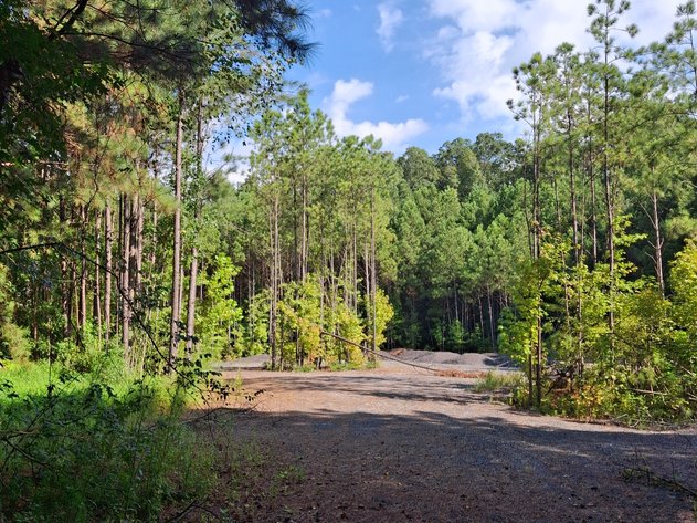 Image for Ellenwood, GA: 14± Acre Development Tract at 2680 River Rd. (DeKalb County)