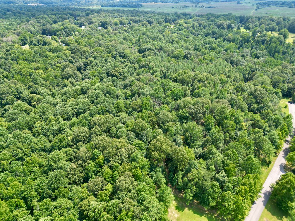 Image for 28 +/- Acres Cherrywood Drive・Central City