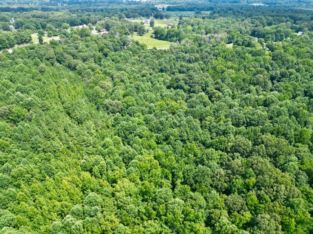 Image for 28 +/- Acres Cherrywood Drive・Central City