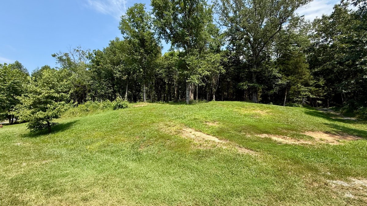 Image for 28 +/- Acres Cherrywood Drive・Central City