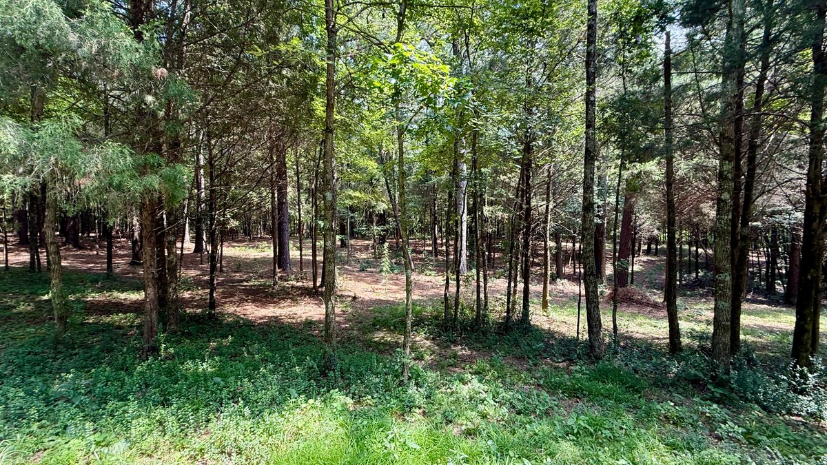 Image for 28 +/- Acres Cherrywood Drive・Central City