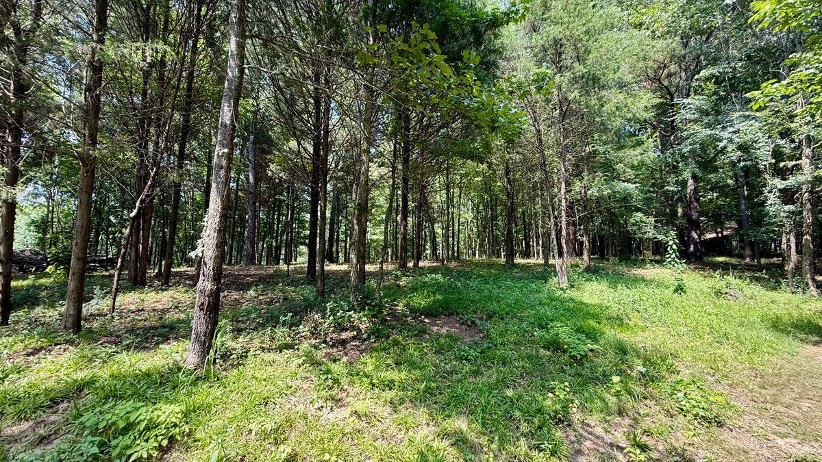 Image for 28 +/- Acres Cherrywood Drive・Central City