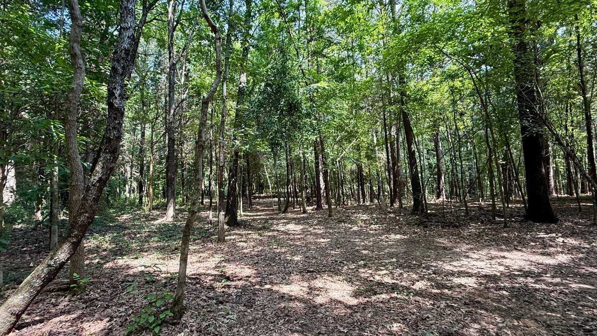Image for 28 +/- Acres Cherrywood Drive・Central City