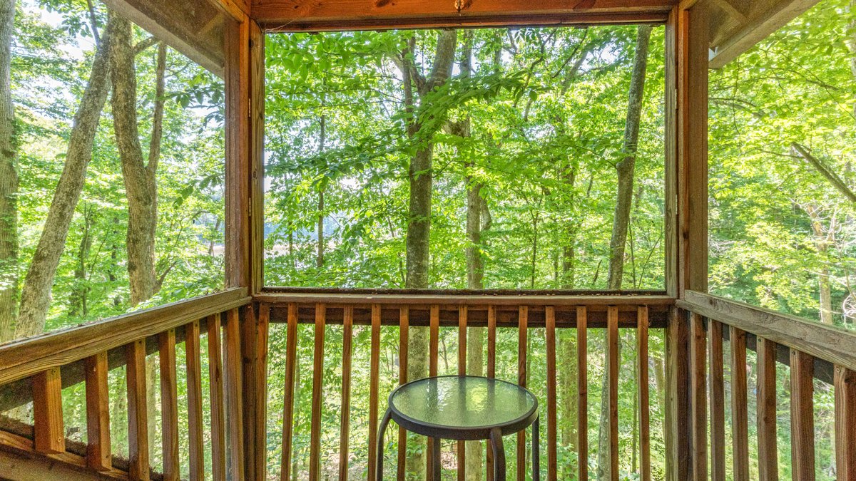Image for 557 Barton Shockley Road・Scottsville・Barren River Lake