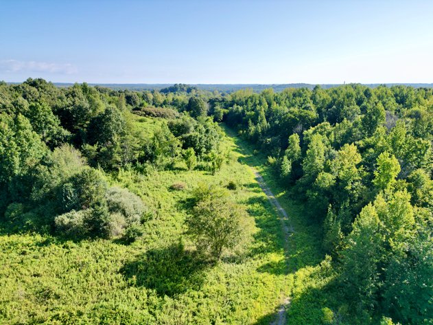 Image for 351 +/- Acres on Martwick Road / US Highway 62・Central City
