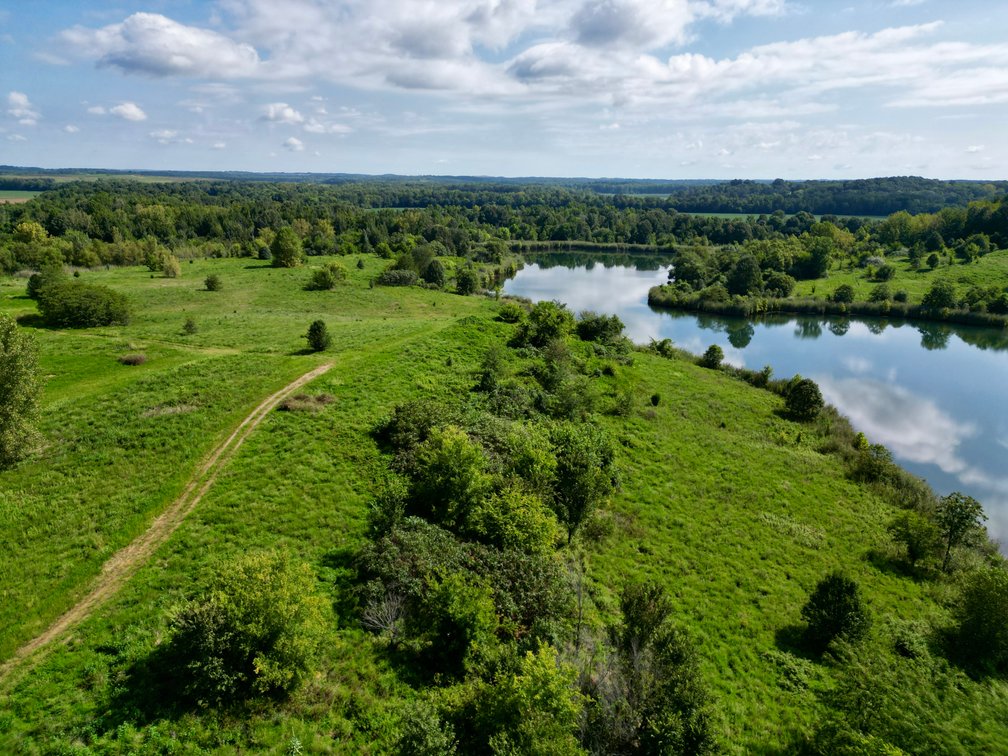 Image for 351 +/- Acres on Martwick Road / US Highway 62・Central City