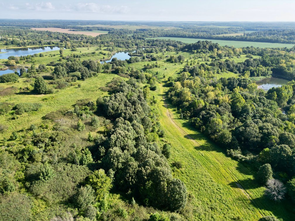 Image for 351 +/- Acres on Martwick Road / US Highway 62・Central City