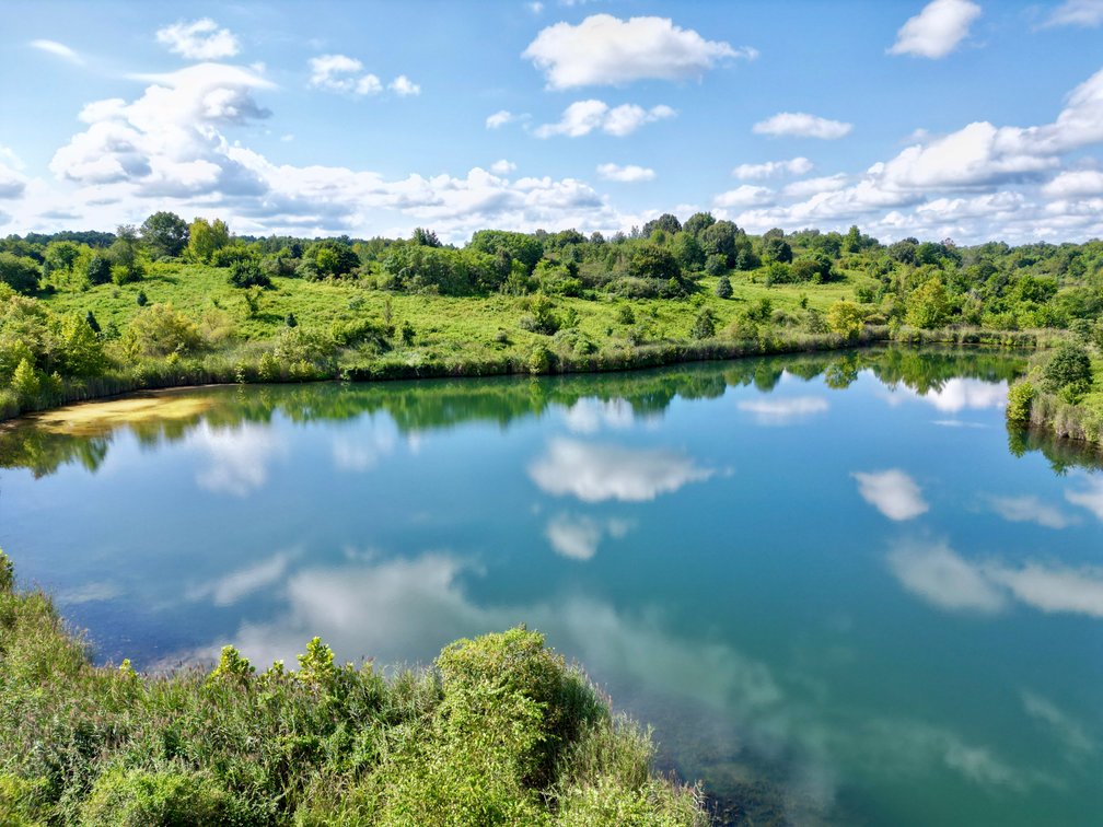 Image for 351 +/- Acres on Martwick Road / US Highway 62・Central City