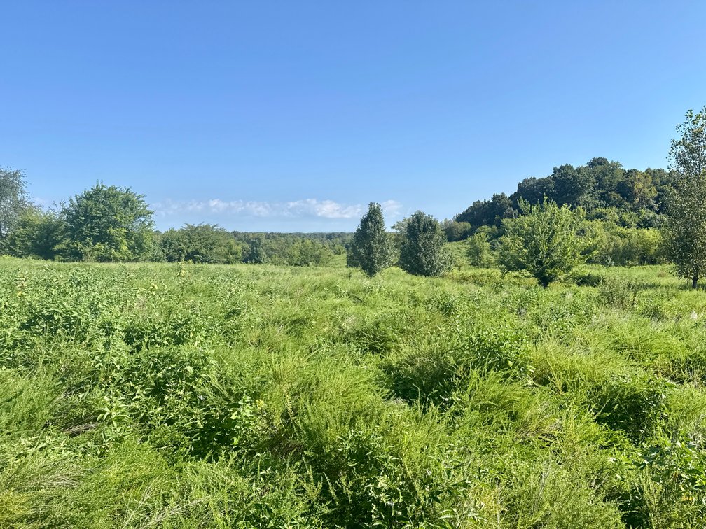 Image for 351 +/- Acres on Martwick Road / US Highway 62・Central City