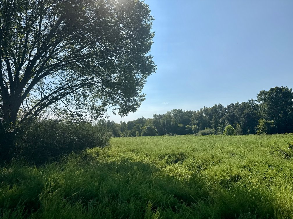 Image for 351 +/- Acres on Martwick Road / US Highway 62・Central City