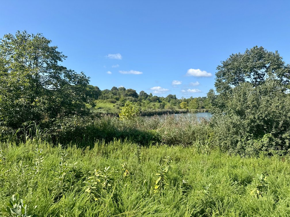 Image for 351 +/- Acres on Martwick Road / US Highway 62・Central City