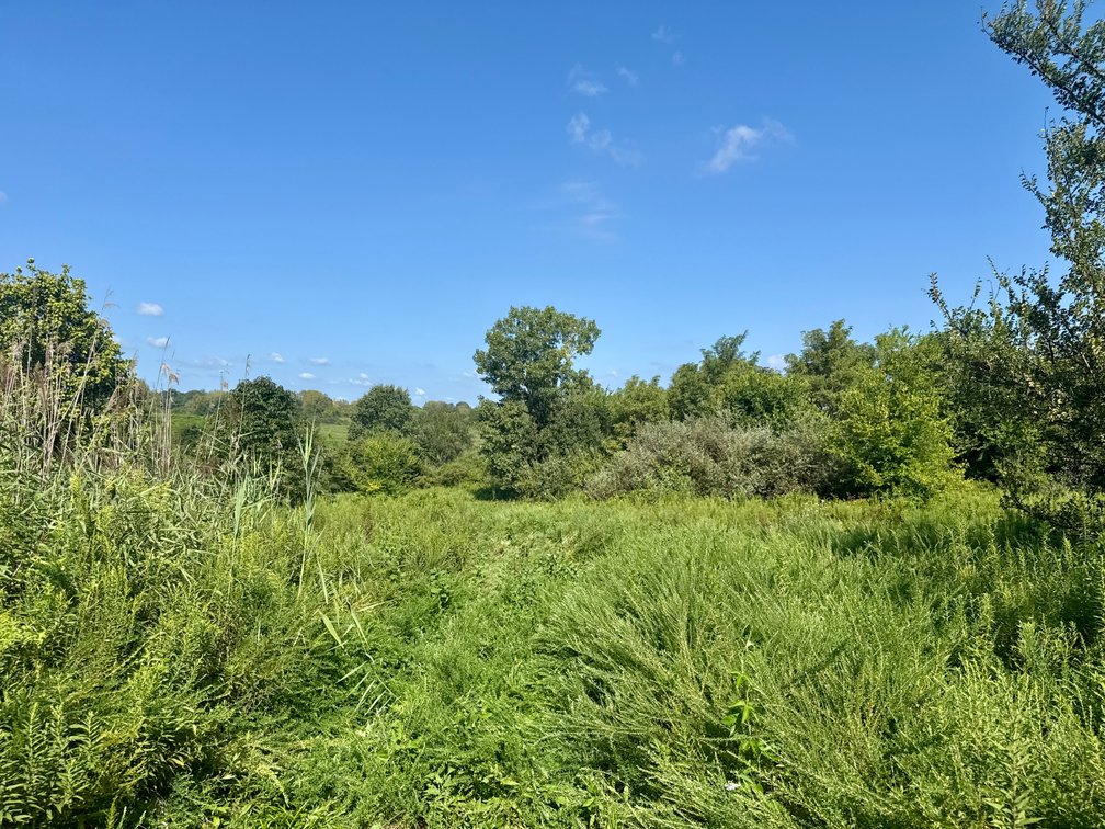 Image for 351 +/- Acres on Martwick Road / US Highway 62・Central City
