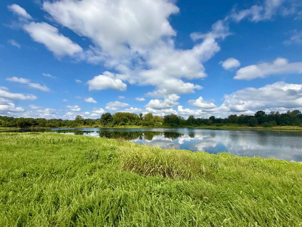 Image for 351 +/- Acres on Martwick Road / US Highway 62・Central City