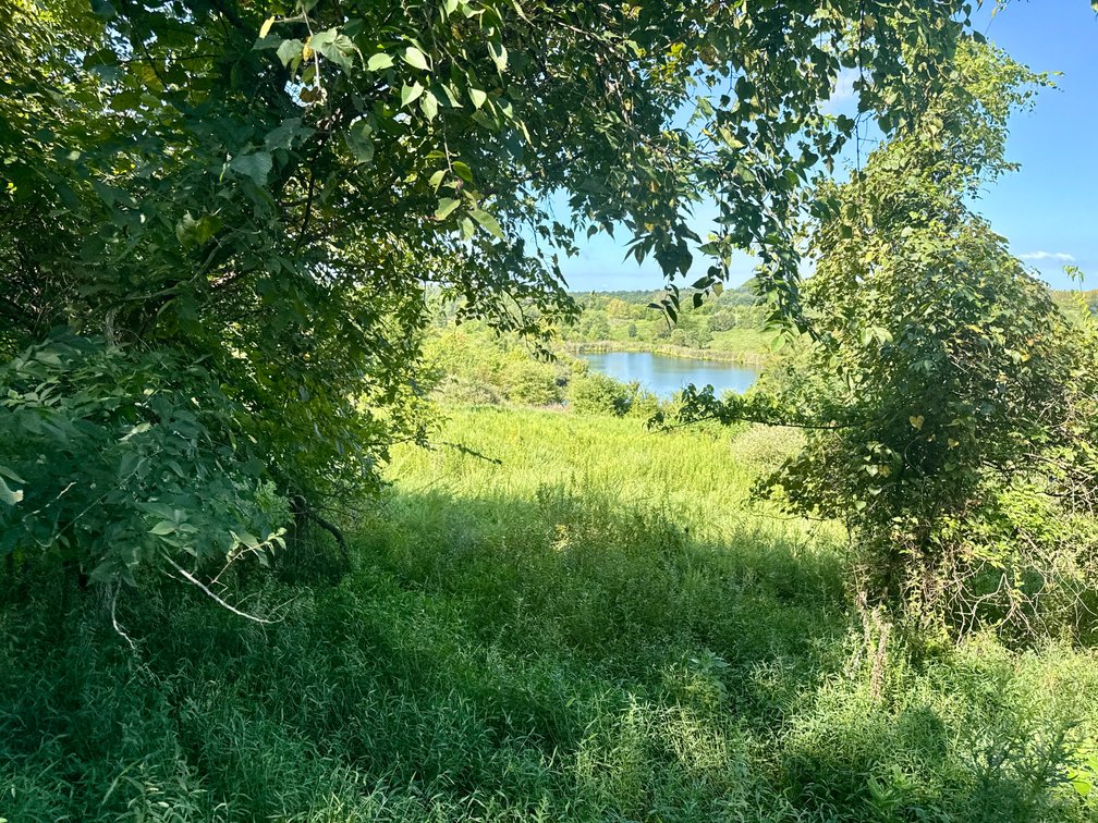 Image for 351 +/- Acres on Martwick Road / US Highway 62・Central City