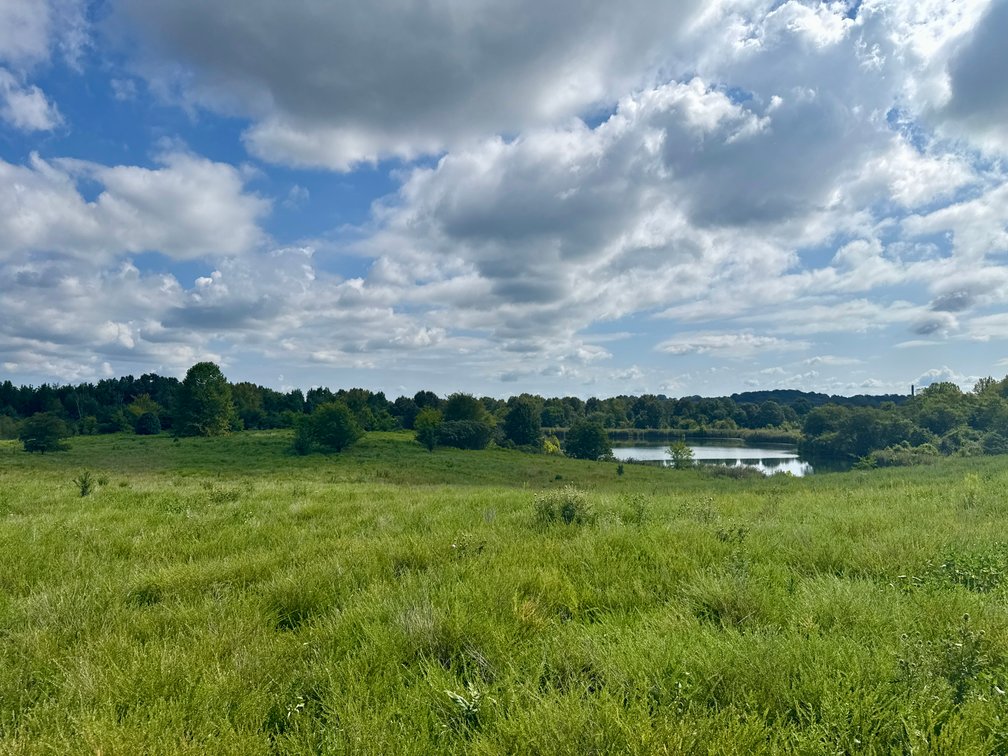 Image for 351 +/- Acres on Martwick Road / US Highway 62・Central City