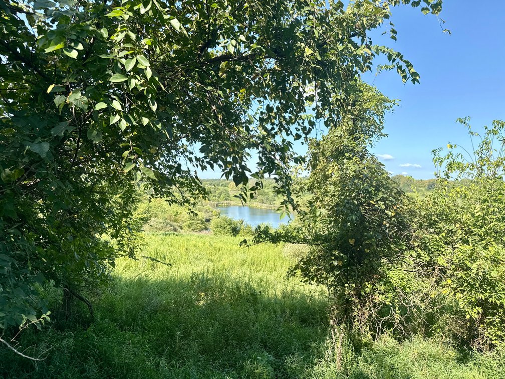 Image for 351 +/- Acres on Martwick Road / US Highway 62・Central City