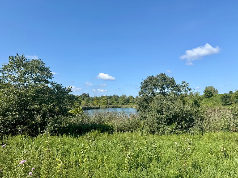Image for 351 +/- Acres on Martwick Road / US Highway 62・Central City