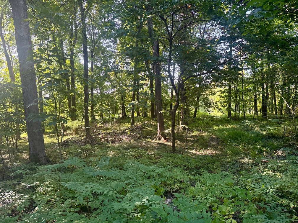 Image for 351 +/- Acres on Martwick Road / US Highway 62・Central City