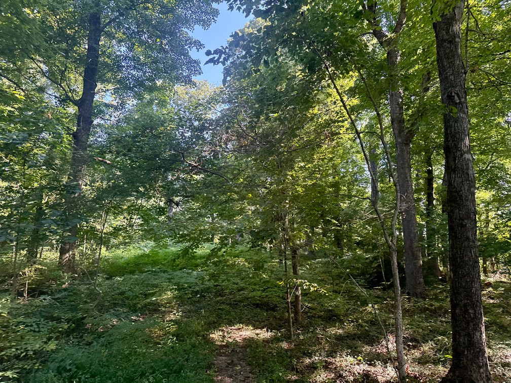 Image for 351 +/- Acres on Martwick Road / US Highway 62・Central City