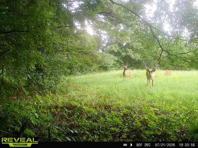 Image for 2181 Graham Cypress Road・Greenville